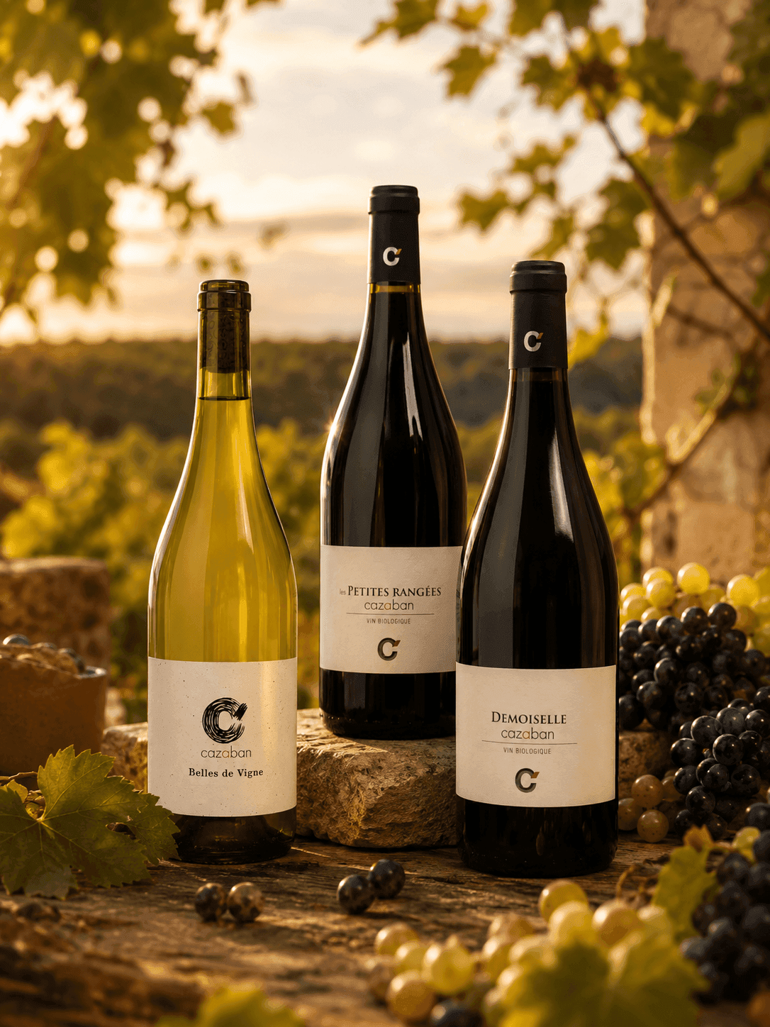 Тихие вина — Классическая линейка Domaine de Cazaban, Франция, Окситания