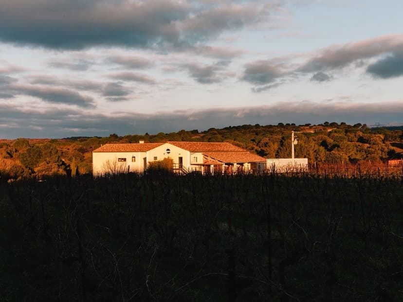 Domaine de Cazaban: как рождается живое вино