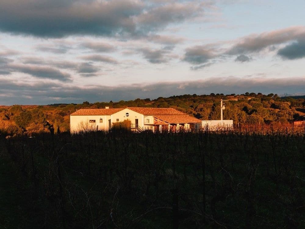 Domaine de Cazaban: как рождается живое вино