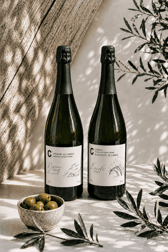 Игристые вина Domaine de Cazaban