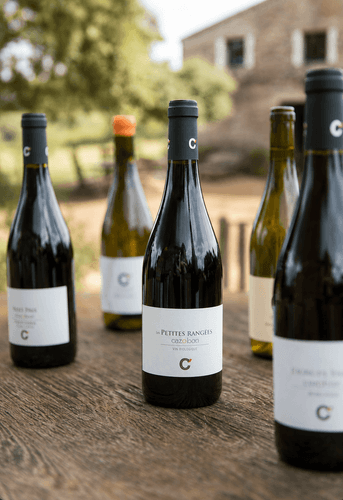 Тихие вина — Классическая линейка Domaine de Cazaban