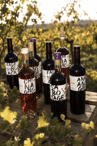 Тихие вина — Линейка Рок-н-ро́лл Domaine de Cazaban
