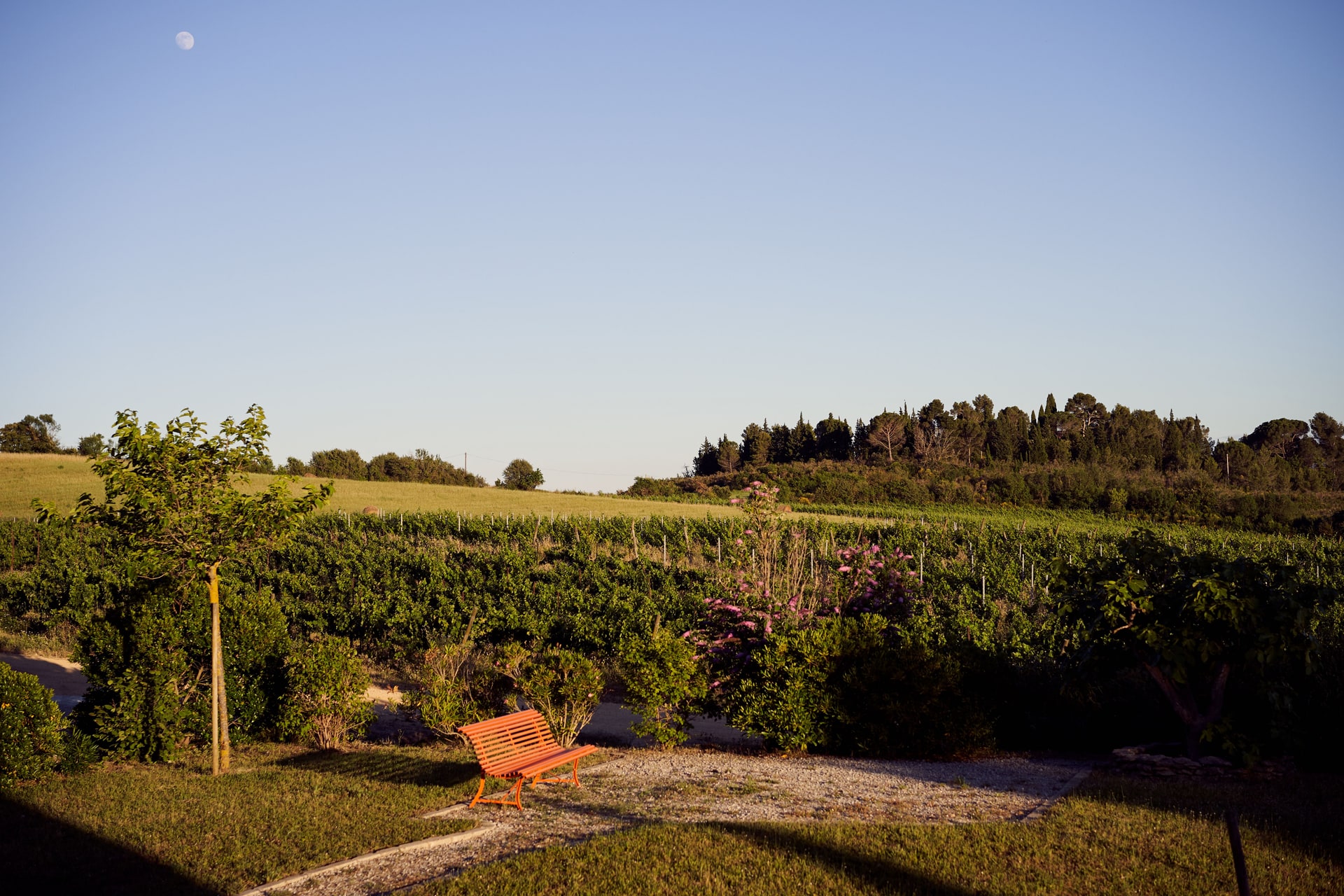 Domaine de Cazaban — винодельня, живущая в ритме природы