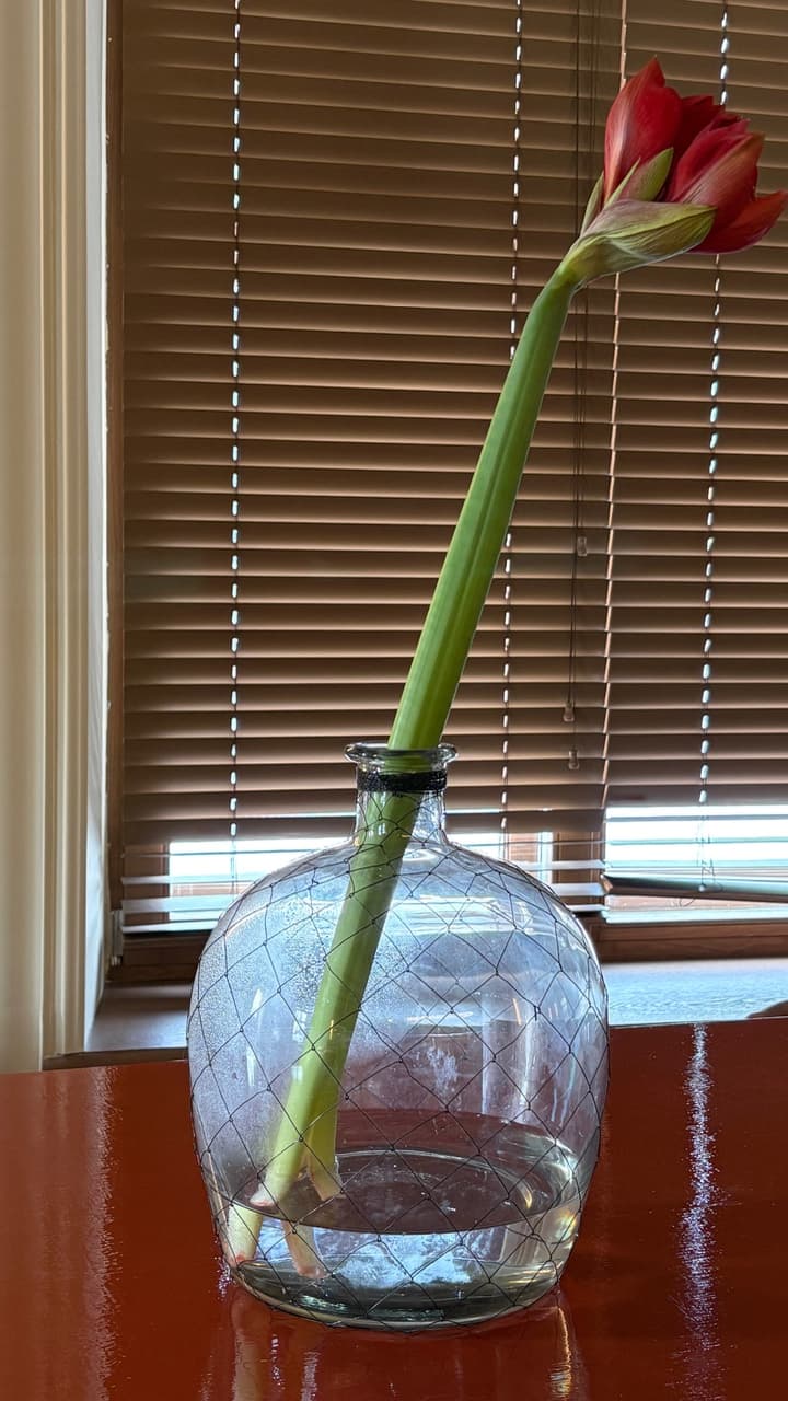 Атмосфера ресторана